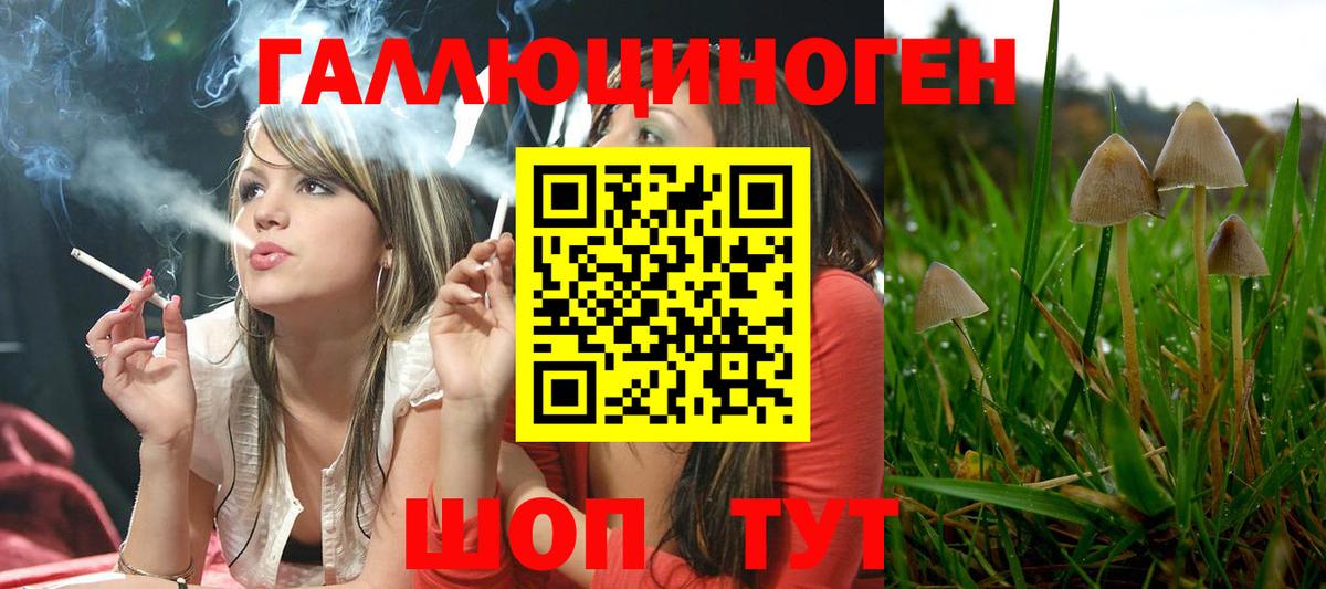 Галлюциногенные грибы MAGIC MUSHROOMS  Вход с VPN  где купить наркотик  Псков 
